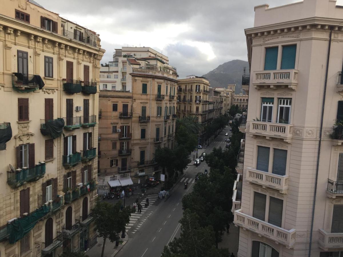 Due Cani Apartment 팔레르모 외부 사진