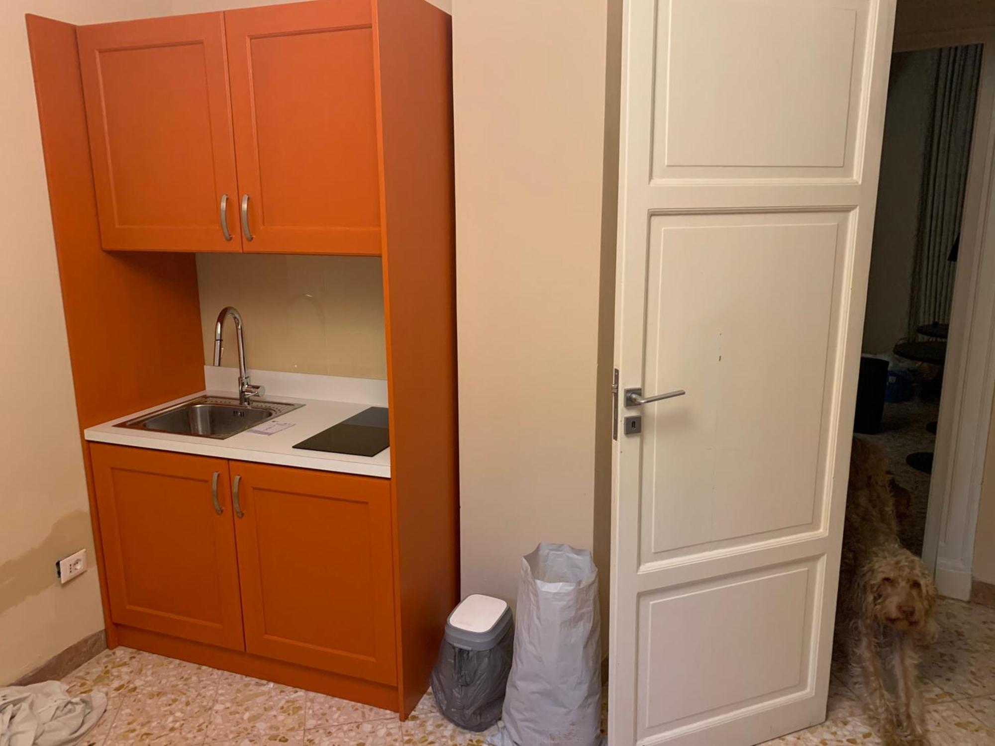 Due Cani Apartment 팔레르모 외부 사진